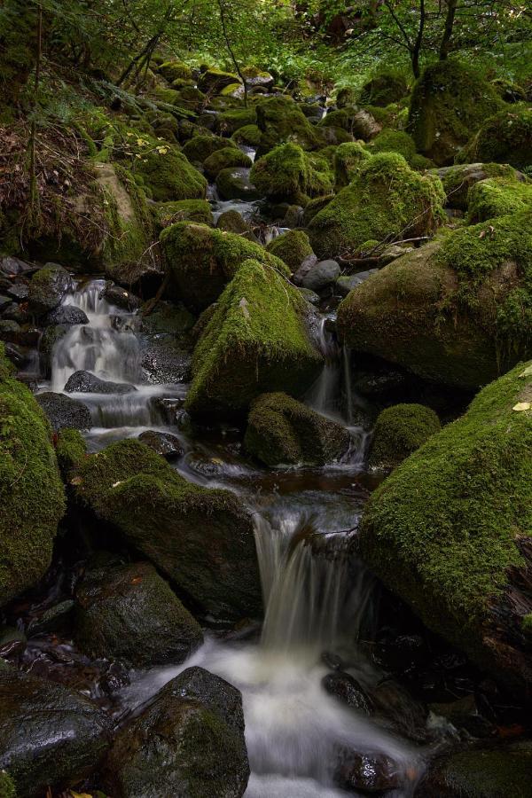 Oakfield Guest House Betws-y-Coed Buitenkant foto
